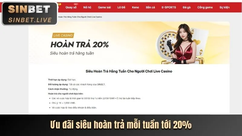 Dealer trực tiếp tại bàn Baccarat